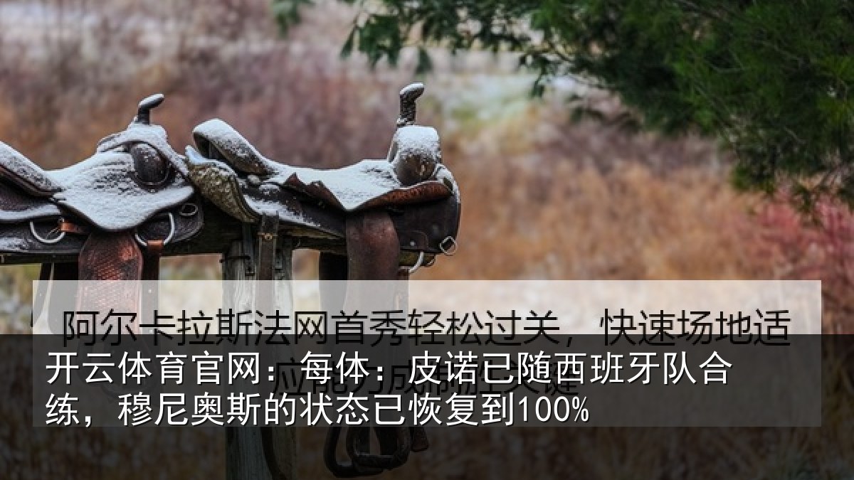 开云体育官网:每体:皮诺相关情况,穆尼相关情况到100%
